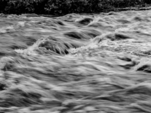 Environment Agency Flood Survey